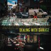 DEALING WITH DAMAGE – use the daylight (LP Vinyl)