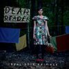 DEAR READER – idealistic animals (CD)
