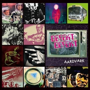 DEFEKTDEFEKT – aardvark (LP Vinyl)