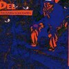 DEL THA FUNKEE HOMOSAPIEN – i wish my brother... (LP Vinyl)