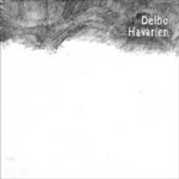 DELBO – havarien (CD, LP Vinyl)