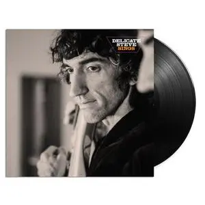 DELICATE STEVE – sings (LP Vinyl)