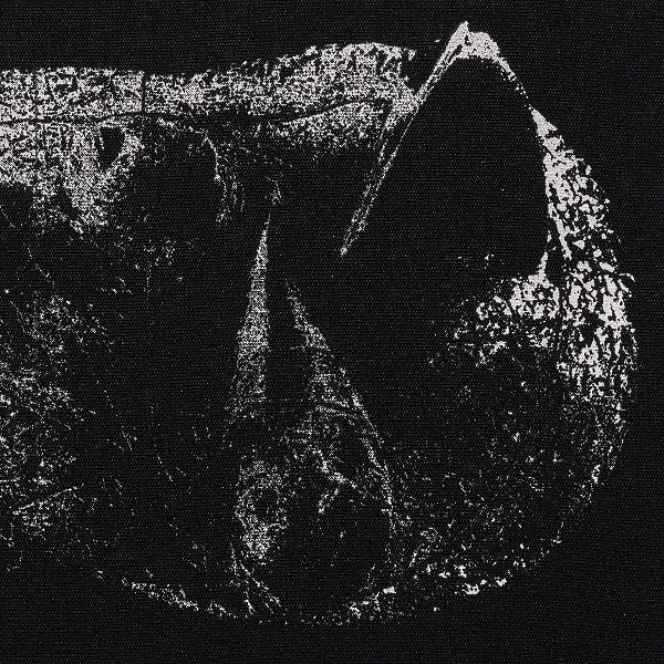 DEMON HEAD – viscera (LP Vinyl)