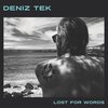 DENIZ TEK – lost for words (CD, LP Vinyl)