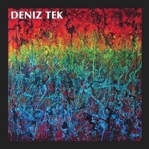 Cover DENIZ TEK, mean old twister
