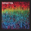 DENIZ TEK – mean old twister (LP Vinyl)