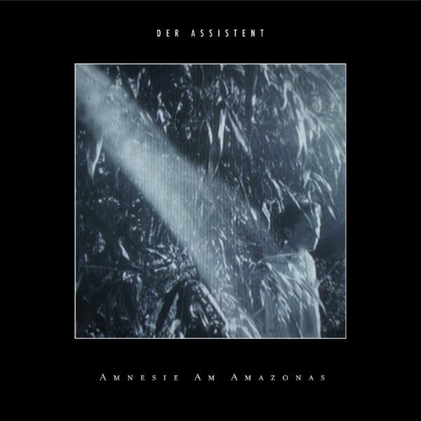 DER ASSISTENT – amnesie am amazonas (LP Vinyl)