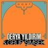 DERYA YILDIRIM & GRUP SIMSEK – dost 2 (CD, LP Vinyl)