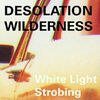 DESOLATION WILDERNESS – white light strobing (CD, LP Vinyl)