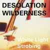 DESOLATION WILDERNESS – white light strobing (CD, LP Vinyl)
