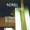 DESTROY BOYS – sorry, mom (LP Vinyl)