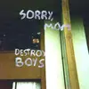 DESTROY BOYS – sorry, mom (LP Vinyl)