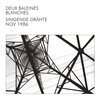 DEUX BALANES BLANCHES – singende drähte (CD, LP Vinyl)