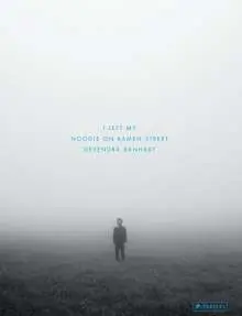 DEVENDRA BANHART – i left my noodle on ramen street (Papier)