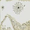 DEVENDRA BANHART – rejoicing in the hands (CD)