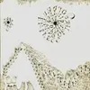 DEVENDRA BANHART – rejoicing in the hands (CD)