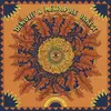 DEWOLFF & METROPOLE ORKES – live at royal theatre carre, amsterdam (CD)