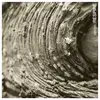 DEXTRO – respire (LP Vinyl)