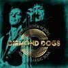 DIAMOND DOGS – recall rock´n´roll and the magic soul (CD, LP Vinyl)