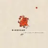 DIANOGAH – millions of brazillians (CD)