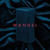 DIE ARBEIT – wandel (LP Vinyl)