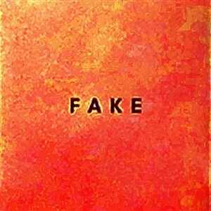 DIE NERVEN – fake (CD, LP Vinyl)