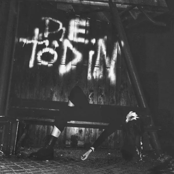 DIE TÖDIN – s/t (LP Vinyl)