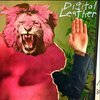 DIGITAL LEATHER / HUSSY – split (LP Vinyl)