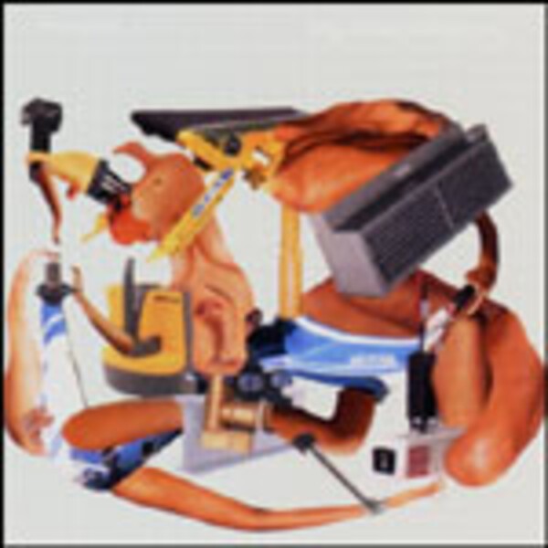 Cover DILLINGER ESCAPE PLAN, miss machine