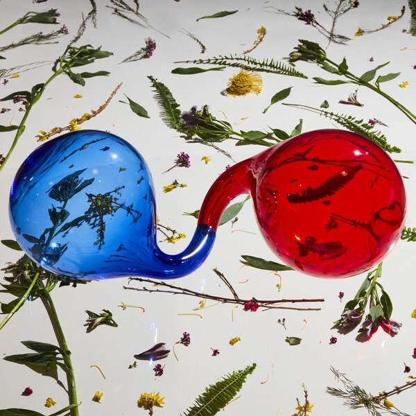 DIRTY PROJECTORS – lamp it prose (CD, LP Vinyl)