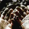 DIS FIG – what to make of these mortal hands (CD, LP Vinyl)