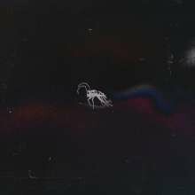 DISSY – bugtape (CD, LP Vinyl)