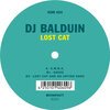 DJ BALDUIN – lost cat (12" Vinyl)