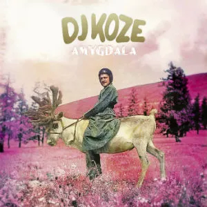 DJ KOZE – amygdala (LP Vinyl)