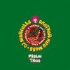 DJ MARCELLE/ANOTHER NICE MESS – psalm tree (12" Vinyl)