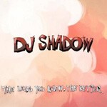 Cover DJ SHADOW, less you know the better