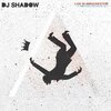 DJ SHADOW – live in manchester - mountain has fallen tour (CD, LP Vinyl)