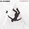 DJ SHADOW – live in manchester - mountain has fallen tour (CD, LP Vinyl)