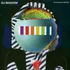 DJ SHADOW – the mountain will fall (LP Vinyl)