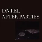 DNTEL – after parties 2 (12" Vinyl)