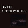 DNTEL – after parties 2 (12" Vinyl)