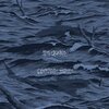 DODOS – certainty waves (CD, LP Vinyl)