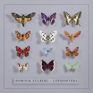 DOMINIK EULBERG – lepidoptera (CD, LP Vinyl)