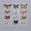 DOMINIK EULBERG – lepidoptera (CD, LP Vinyl)