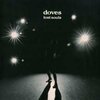 DOVES – lost souls (LP Vinyl)