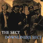 DOWNLINERS SECT – the sect (LP Vinyl)