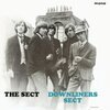 DOWNLINERS SECT – the sect (LP Vinyl)
