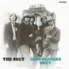 DOWNLINERS SECT – the sect (LP Vinyl)
