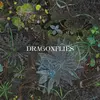 DRAGONFLIES – s/t (CD, LP Vinyl)