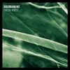 DRAMAMINE – green horse (LP Vinyl)